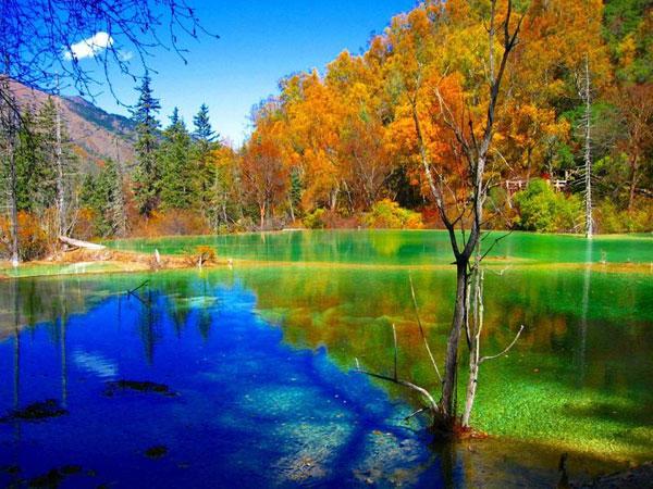 九寨沟自由行的攻略图文，史上最精简九寨沟攻略