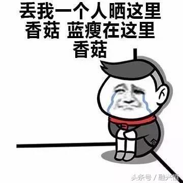 除了绿色菜汪还有什么表情包，你的表情包不够用了