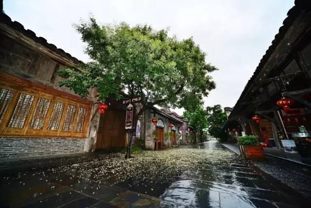 大邑免费好玩的地方有哪些景点，免费露营、带娃去田园过上向往的生活