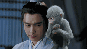 神犬小七都有谁，没想到你是这样的神狐小七