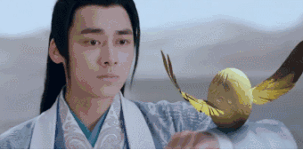 神犬小七都有谁，没想到你是这样的神狐小七