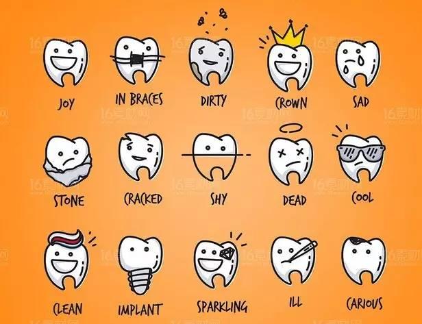 关于牙齿的小常识，爱牙日这些关于牙齿的知识