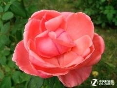 乐pro3多少钱，乐pro3实际体验怎么样