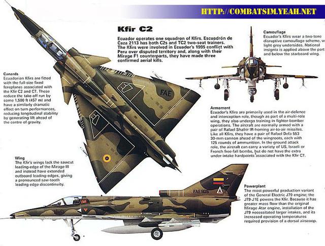 幼狮战机和歼十，八成网友竟分不清狮和幼狮战机