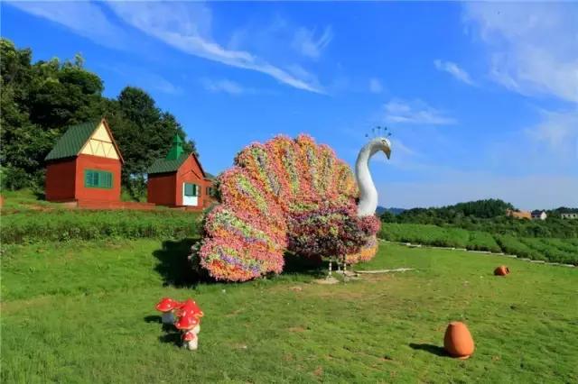 衡阳旅游景点攻略，衡阳户外一日游