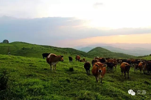 衡阳旅游景点攻略，衡阳户外一日游