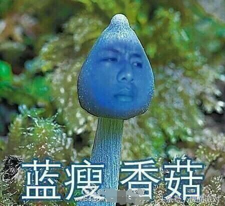香菇蓝瘦什么意思，蓝瘦香菇网络语什么意思