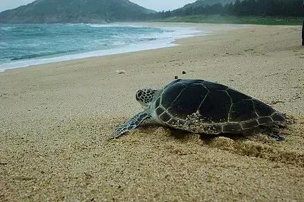 惠州自驾游最佳路线推荐，惠州周边10条最美自驾游线路
