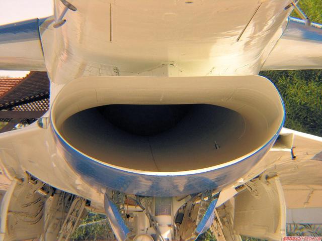 幼狮战机和歼十，八成网友竟分不清狮和幼狮战机