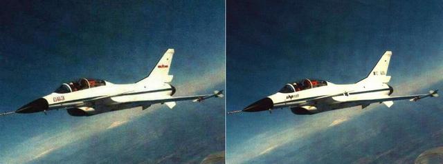 幼狮战机和歼十，八成网友竟分不清狮和幼狮战机