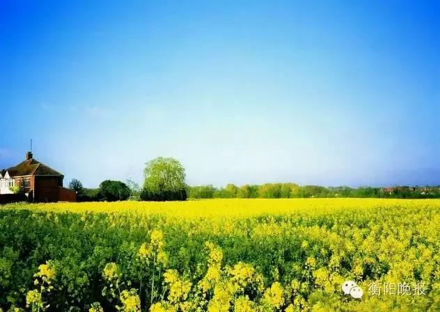 衡阳旅游景点攻略，衡阳户外一日游