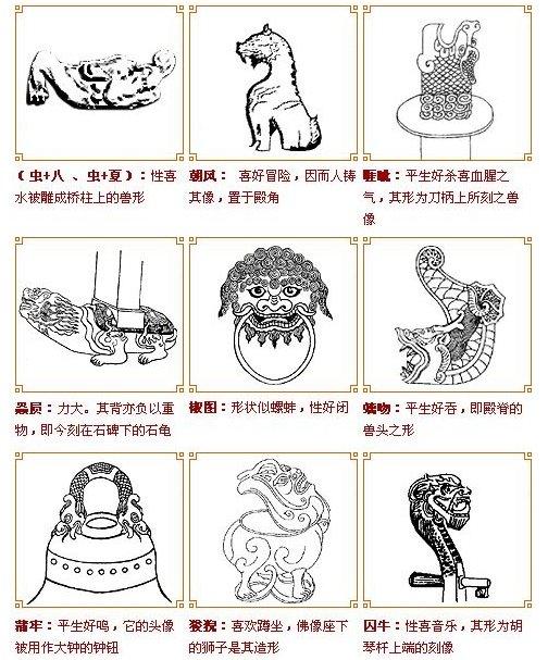 世界上真的有龙存在吗未解之谜，世界上真的有龙吗