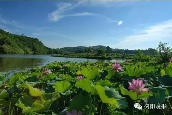 衡阳旅游景点攻略，衡阳户外一日游
