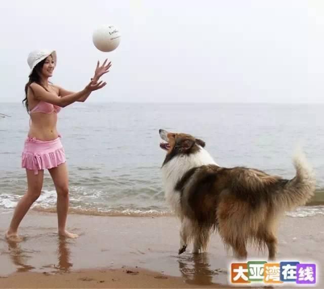 大亚湾附近旅游景点，大亚湾登山、看海、遛娃、拍拖好去处