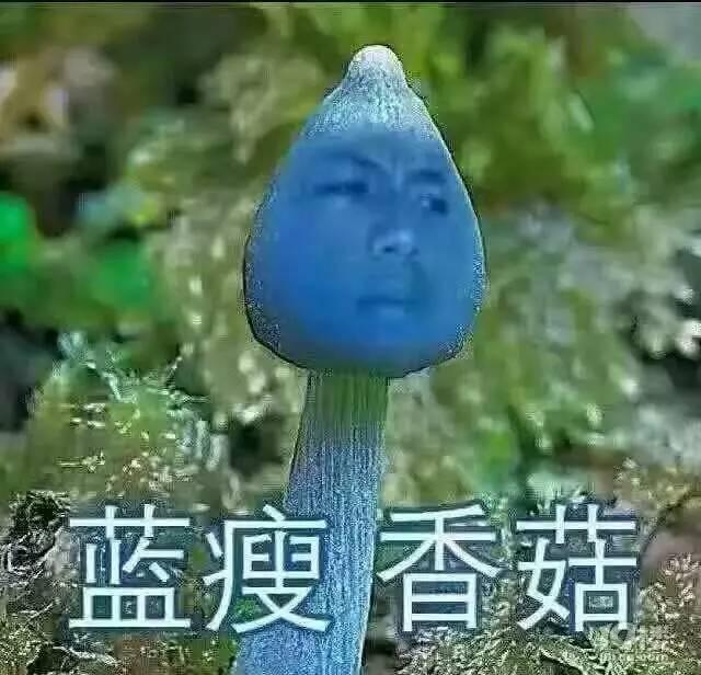 蓝瘦香菇没有粉，外观漂亮吸引人