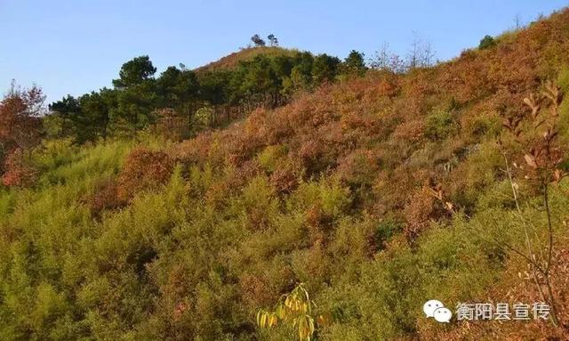 秋天登山季除了衡山，南岳衡山旅游风景