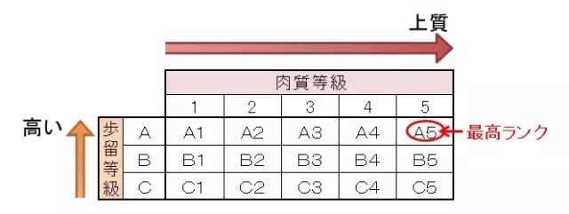 和牛有什么不好吗，原来这些灵性动物吃了会影响修行