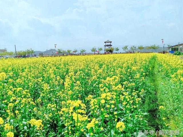 韶关旅游景点大全，韶关18个春游好去处（韶关旅游景点推荐大全）