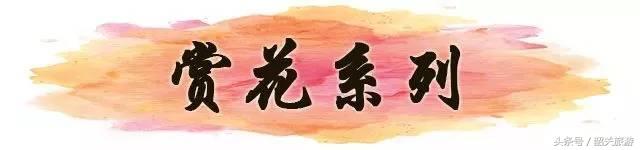 韶关旅游景点大全，韶关18个春游好去处（韶关旅游景点推荐大全）