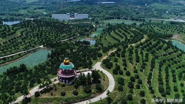 韶关旅游景点大全，韶关18个春游好去处（韶关旅游景点推荐大全）