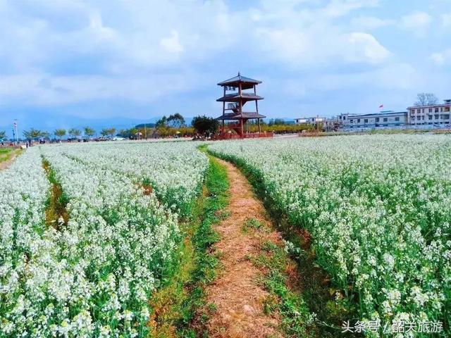 韶关旅游景点大全，韶关18个春游好去处（韶关旅游景点推荐大全）