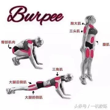 立卧撑锻炼方法，糖友居家试试无器械锻炼<一>