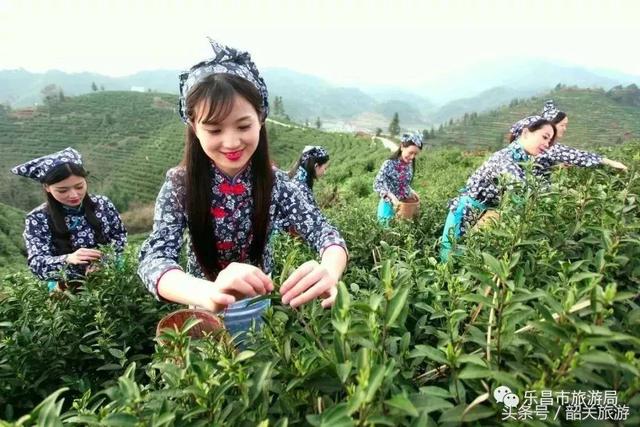 韶关旅游景点大全，韶关18个春游好去处（韶关旅游景点推荐大全）