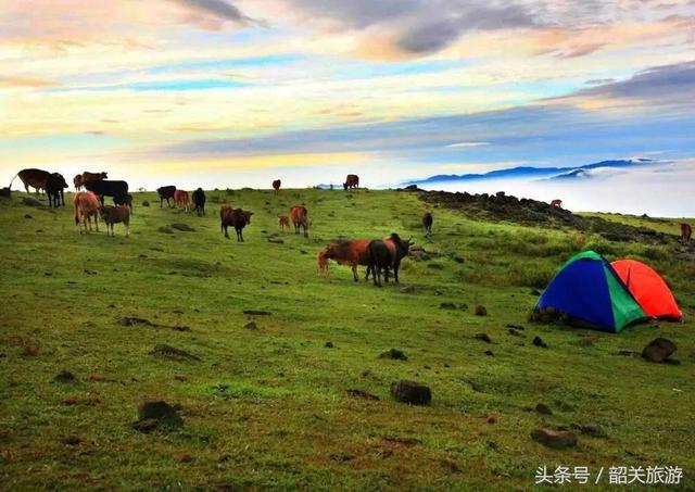 韶关旅游景点大全，韶关18个春游好去处（韶关旅游景点推荐大全）