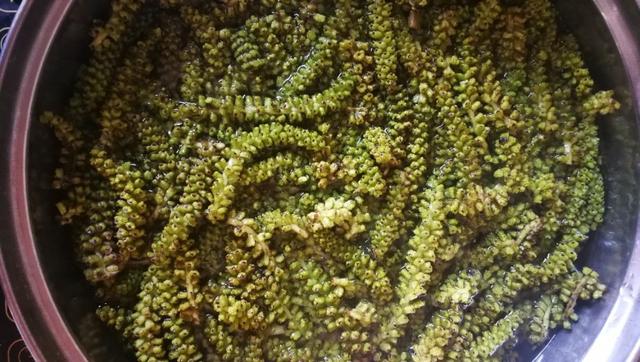 农村常见的花，凌巧分享篇41——这15种生活中常见的野花