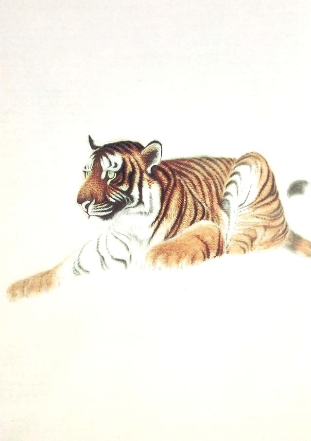 画虎怎么画才好，老虎画法-陈家明画虎