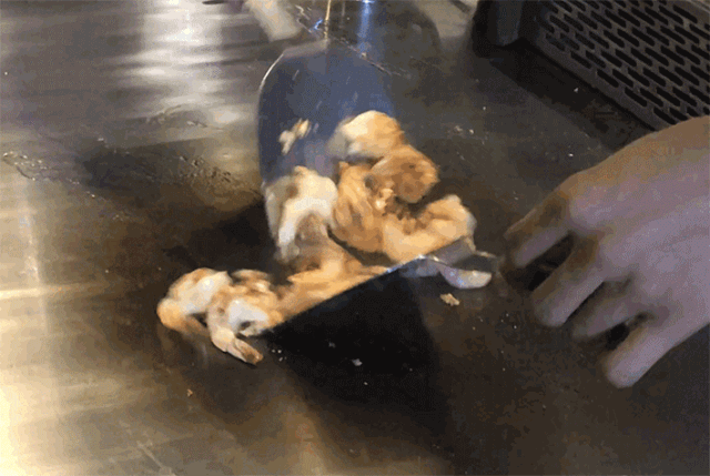 大同这些绝佳聚会圣地不要错过，大同环境好适合情侣吃饭的地方