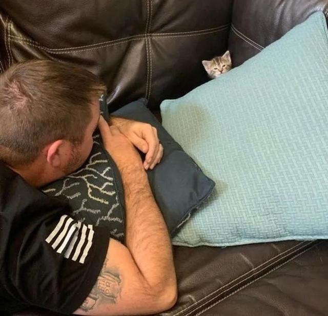 并不是所有人都适合养猫咪，有一部分人根本不适合养喵