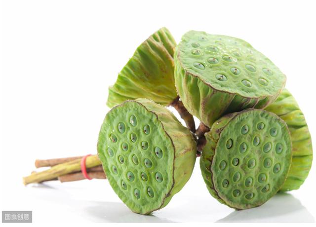 莲藕是根还是茎，莲藕可食用的部分是根还是茎（莲藕的孔洞太多）