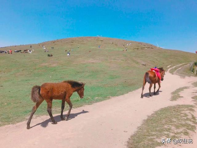 郴州网红景点排名，郴州网红打卡景点沙滩