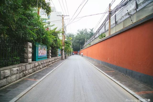 郑州周边免费景点，郑州最近免费旅游景点大全（不出郑州的8个赏花遛娃地）