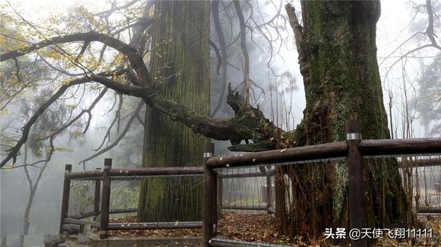 庐山文化景区，庐山无愧中国第一个世界文化景观遗产