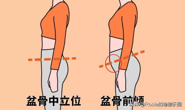 顯胖5斤的小肚子你有嗎？找對成因堅持3步，解鎖喬欣同款好身材 健身減肥達人 第20张