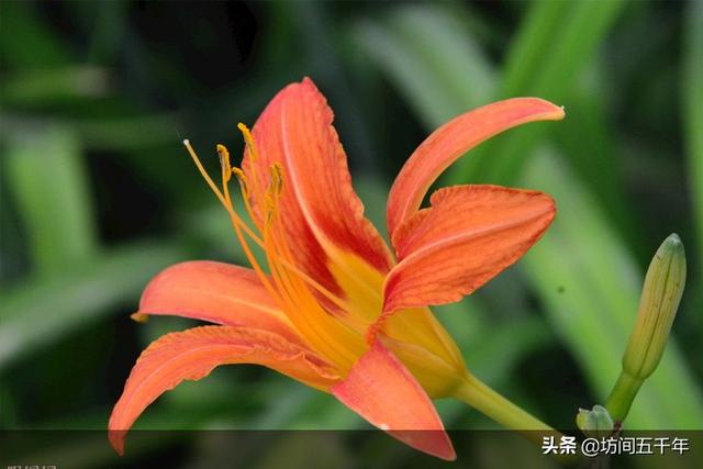 二十四孝图中孝顺的三个故事，是我国历史中最温情的能量