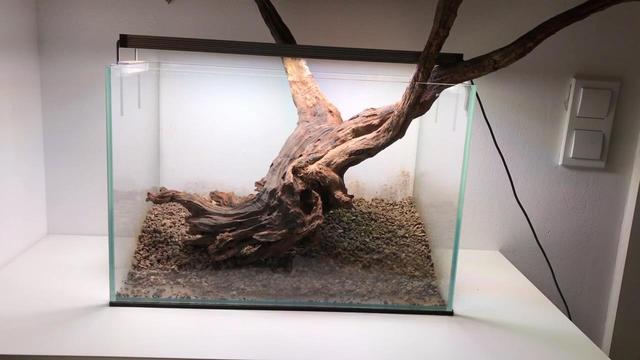草缸开缸造景图解，给草缸翻缸了重新造景
