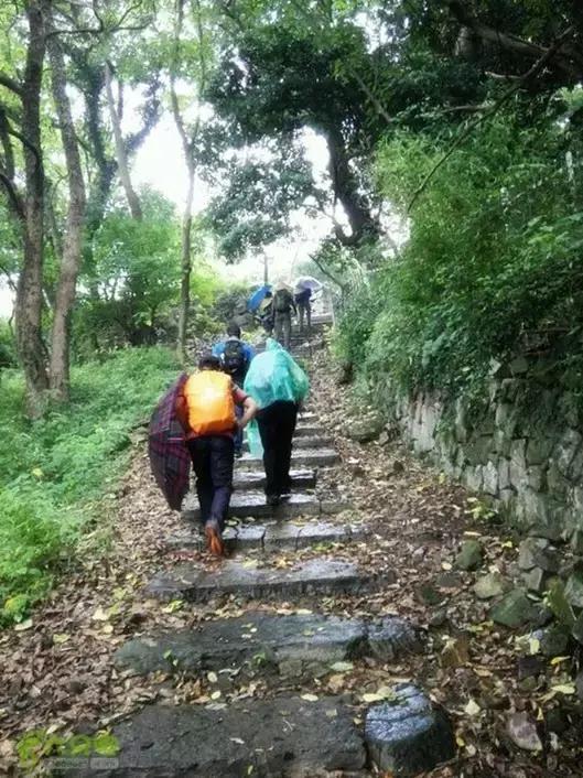 宁波有几个古道可以爬山的，宁波这11条登山健身步道你走过吗