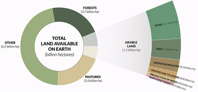 土葬多久会腐烂，土葬棺材里尸骨多少年腐烂（土葬的人从肉体变成白骨的时间大约是多久）