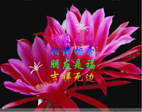 七夕送什么明天2.14日情人节，999玫瑰送给所有朋友，祝你们情人节快乐