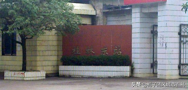 桂林各县火车站排名，桂林市辖区境内主要的九座火车站一览