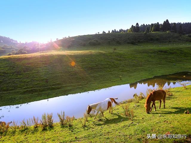 重庆到武隆一日游，武隆攻略一日游（观世界自然遗产——武隆篇）