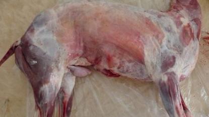 烤全羊腌制配料，正宗烤全羊外酥里嫩（原来最正宗的烤全羊是这样做出来的）