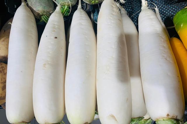 白萝卜选购技巧，白萝卜批发价格多少钱一斤