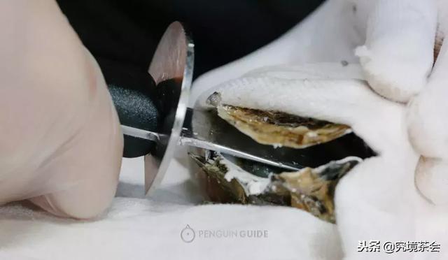 生蚝怎么做才好吃，美味留得住生蚝的9种做法（生蚝还是这样做好吃）