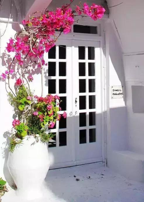 花很香又漂亮的藤蔓植物，12种开花藤蔓植物