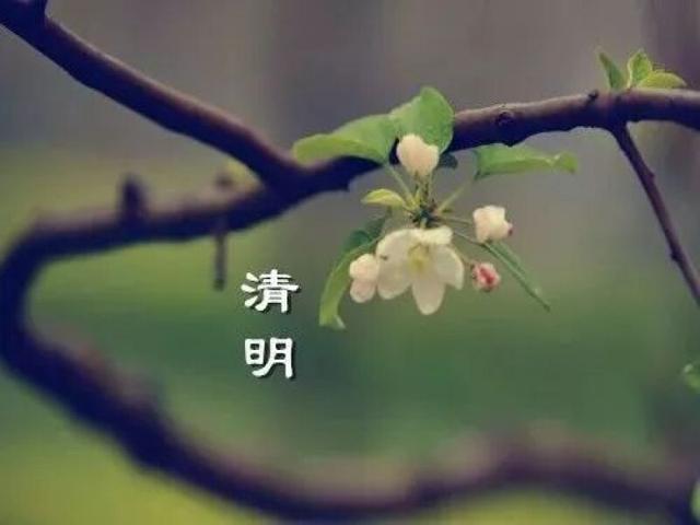 清明节的习俗有哪些，清明节的7大习俗（清明节的来历和习俗）