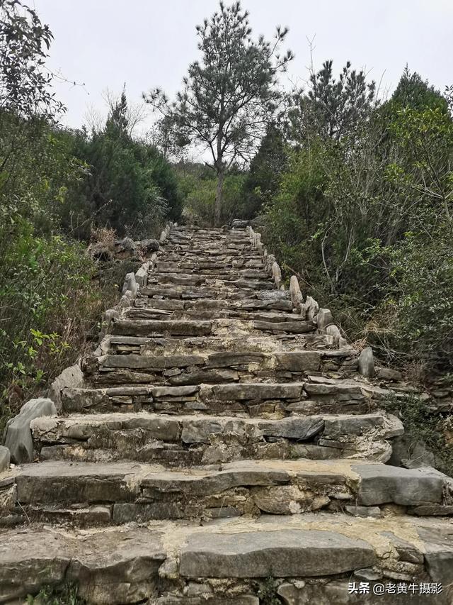 京山青龙山风景区在哪，京山青龙山，生态美景看不够